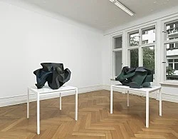 Fecteau Berlin 2012 — Vincent Fecteau — Exhibitions — Galerie Buchholz — Image 49
