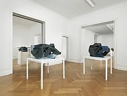Fecteau Berlin 2012 — Vincent Fecteau — Exhibitions — Galerie Buchholz — Image 59