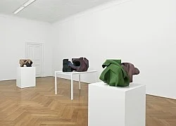 Fecteau Berlin 2012 — Vincent Fecteau — Exhibitions — Galerie Buchholz — Image 66