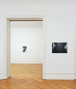 No Tears in Rain — Stewart Uoo — Exhibitions — Galerie Buchholz — Image 50