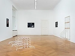 No Tears in Rain — Stewart Uoo — Exhibitions — Galerie Buchholz — Image 58