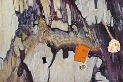 Inspired by an Atlas of Leprosy — Lucy McKenzie — Exhibitions — Galerie Buchholz — Image 75