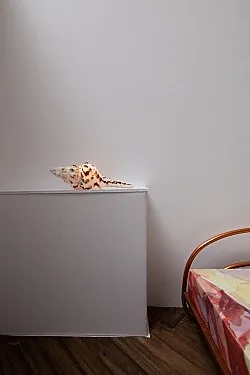 Inspired by an Atlas of Leprosy — Lucy McKenzie — Exhibitions — Galerie Buchholz — Image 119