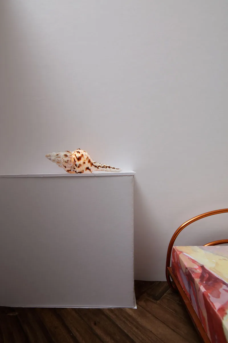 Inspired by an Atlas of Leprosy — Lucy McKenzie — Exhibitions — Galerie Buchholz — Image 57