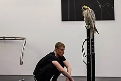 Anne Imhof Köln 2016 — Anne Imhof — Exhibitions — Galerie Buchholz — Image 105