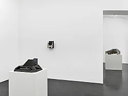 you have did the right thing when you put that skylight in — Vincent Fecteau — Exhibitions — Galerie Buchholz — Image 37