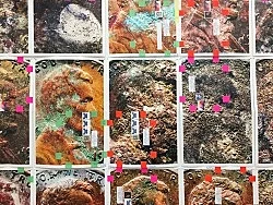 Empties — Moyra Davey — Exhibitions — Galerie Buchholz — Image 31