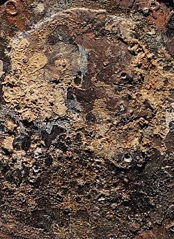 Empties — Moyra Davey — Exhibitions — Galerie Buchholz — Image 23