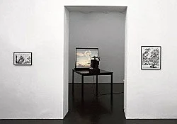 T.J. Wilcox 2006 — T J Wilcox — Exhibitions — Galerie Buchholz — Image 26