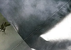 Könnemann 2006 — Nina Könnemann — Exhibitions — Galerie Buchholz — Image 28