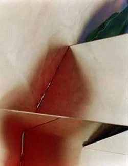 Puccio Onyx — Eileen Quinlan — Exhibitions — Galerie Buchholz — Image 21