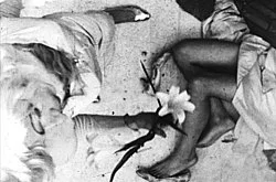 Re-Framing Creatures — Tony Conrad — Exhibitions — Galerie Buchholz — Image 25