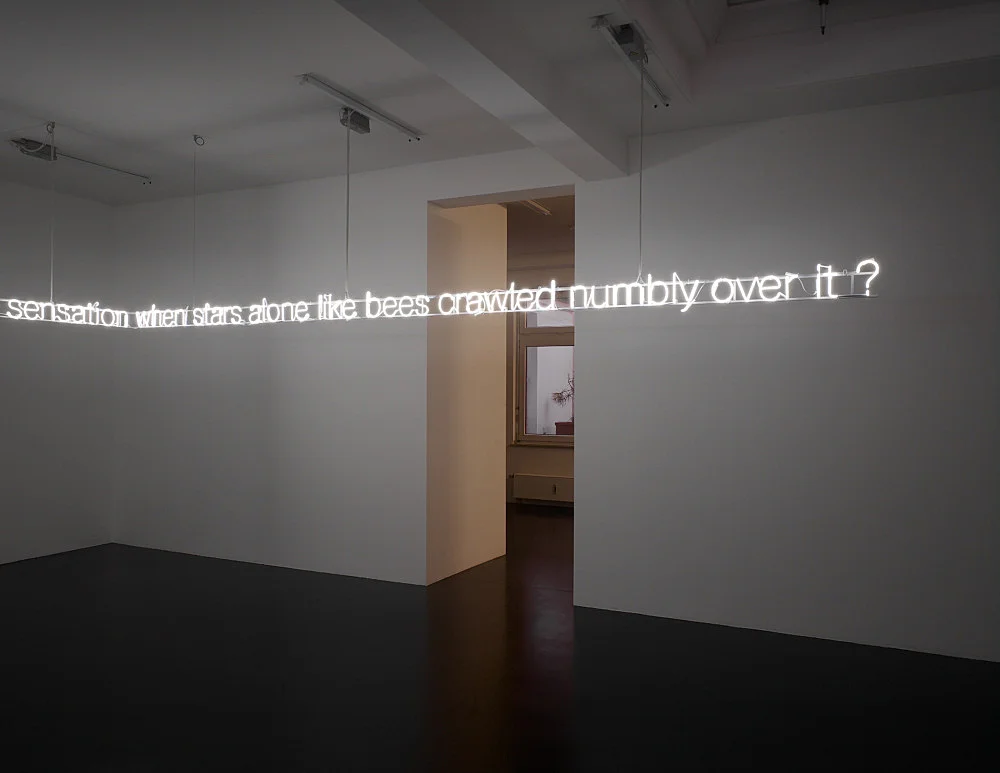 Permit yourself — Cerith Wyn Evans — Exhibitions — Galerie Buchholz — Image 00