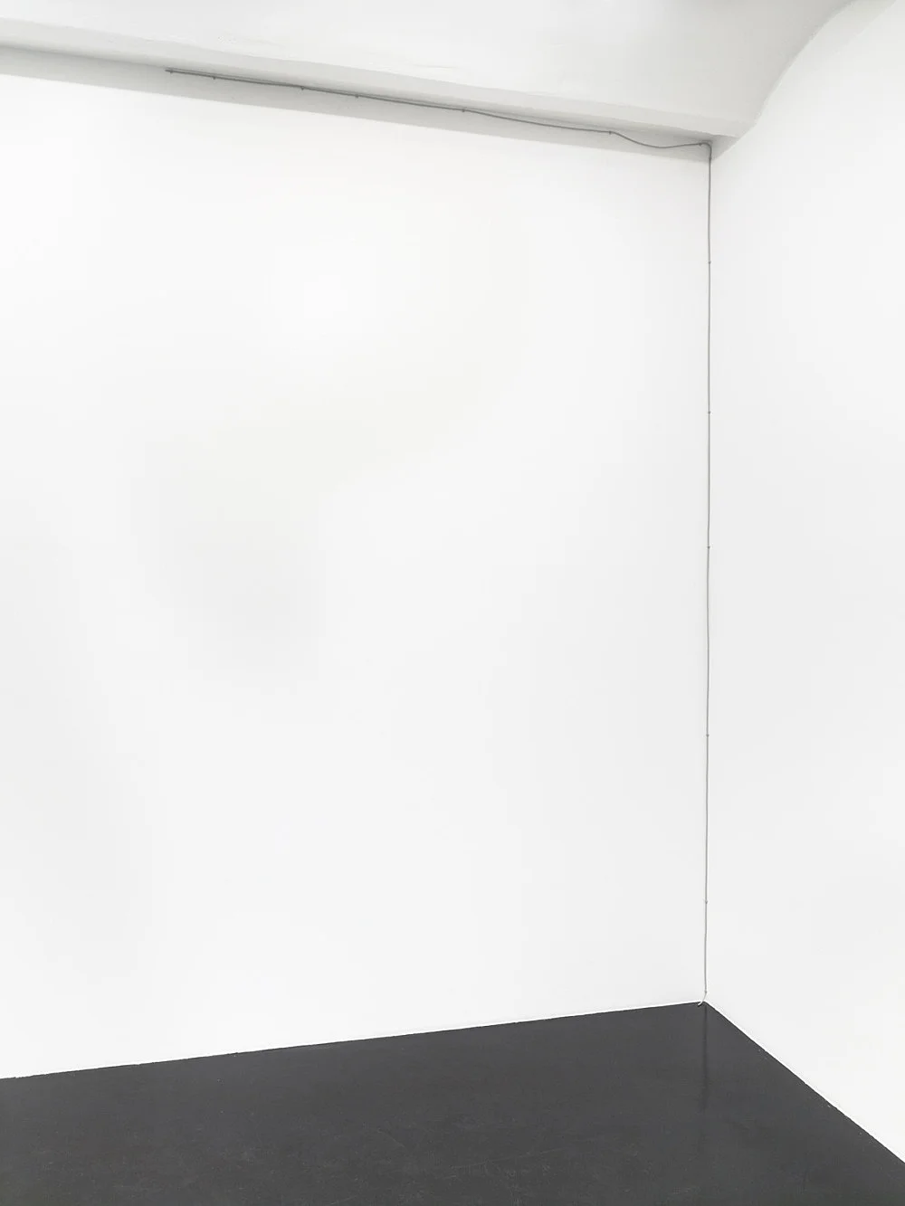 Master-Slave Dialectic — Henrik Olesen, Danh Vo — Exhibitions — Galerie Buchholz — Image 16