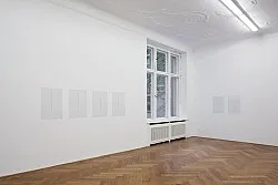 Diminution — Florian Pumhösl — Exhibitions — Galerie Buchholz — Image 19
