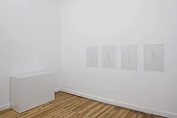 Diminution — Florian Pumhösl — Exhibitions — Galerie Buchholz — Image 20