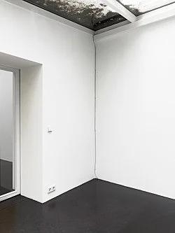 Master-Slave Dialectic — Henrik Olesen, Danh Vo — Exhibitions — Galerie Buchholz — Image 44