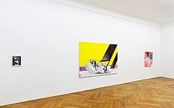 Fence Romance — Thomas Eggerer — Exhibitions — Galerie Buchholz — Image 41