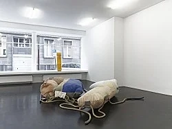 Fluffing the Pillows — Nairy Baghramian — Exhibitions — Galerie Buchholz — Image 50
