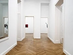 Celestial Telegraph Paintings Another Language — Richard Hawkins Aaron Curry — Exhibitions — Galerie Buchholz — Image 20