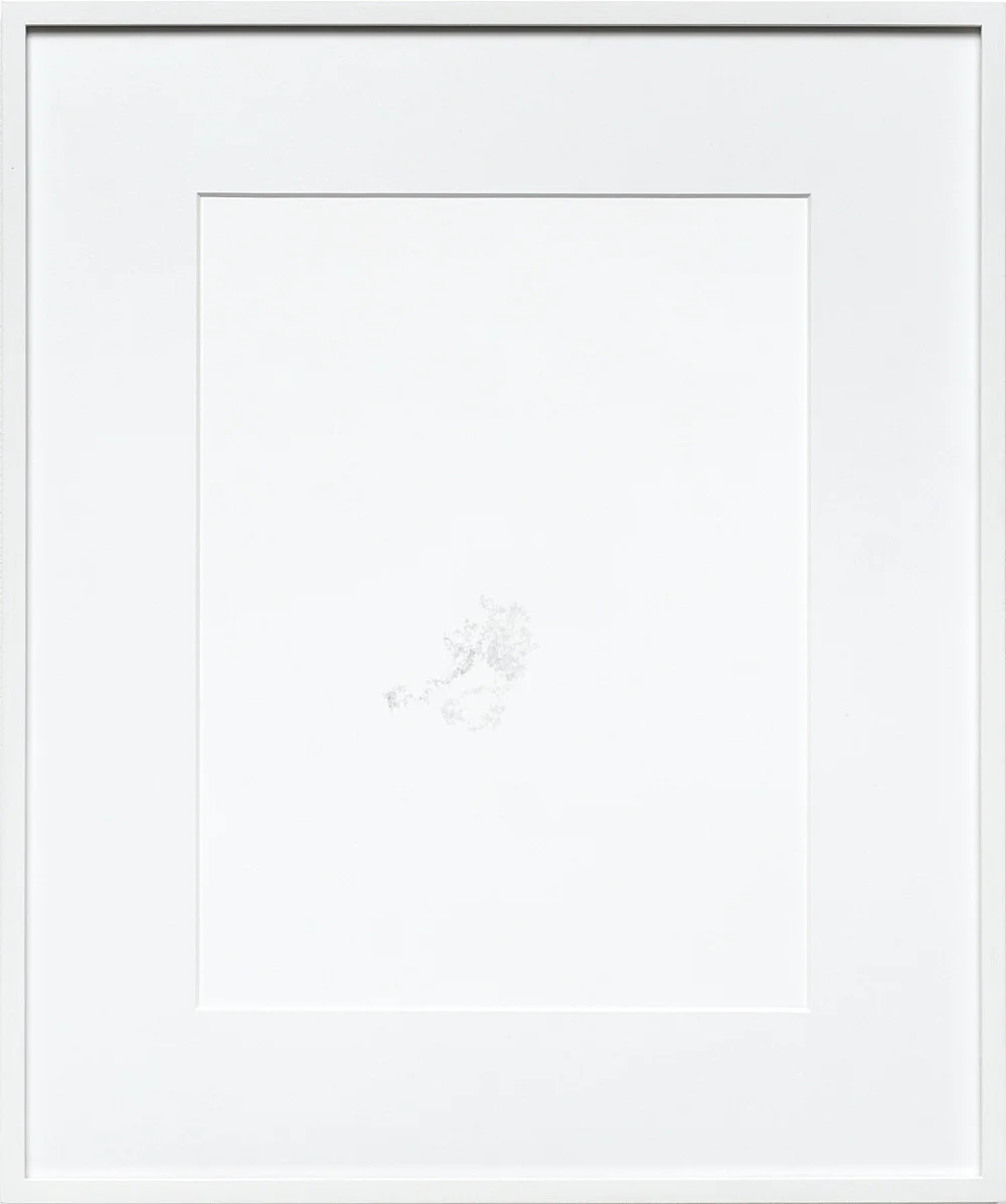 10M1000 ML10 L — Cheyney Thompson — Exhibitions — Galerie Buchholz — Image 28