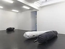 Fluffing the Pillows — Nairy Baghramian — Exhibitions — Galerie Buchholz — Image 59