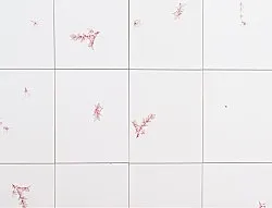 Lartiste et le décorateur — Danh Vo — Exhibitions — Galerie Buchholz — Image 27