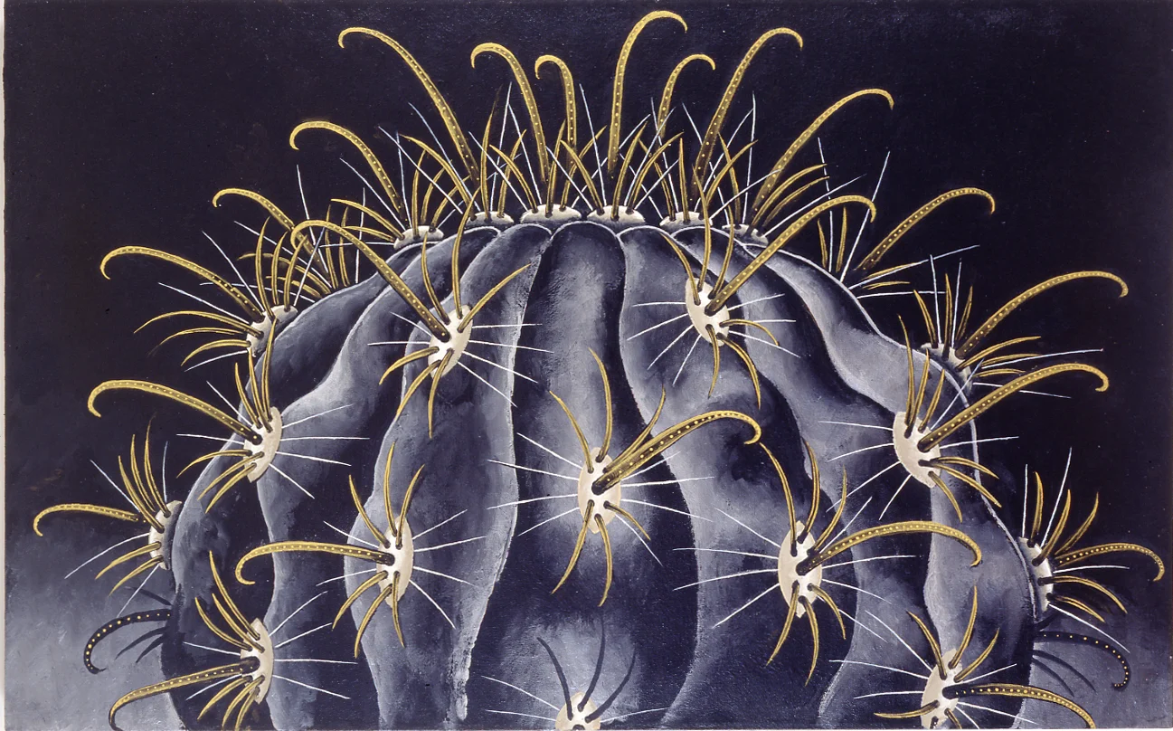 Works198082111998 — Martin Wong — Exhibitions — Galerie Buchholz — Image 34