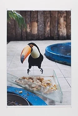 Wolfgang Tillmans Berlin 2010 — Wolfgang Tillmans — Exhibitions — Galerie Buchholz — Image 74