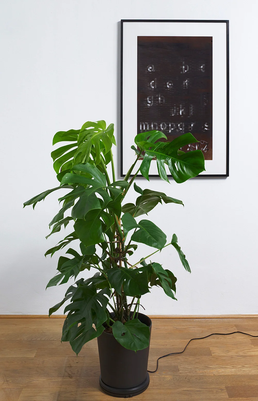 Dérive — Cerith Wyn Evans — Exhibitions — Galerie Buchholz — Image 06