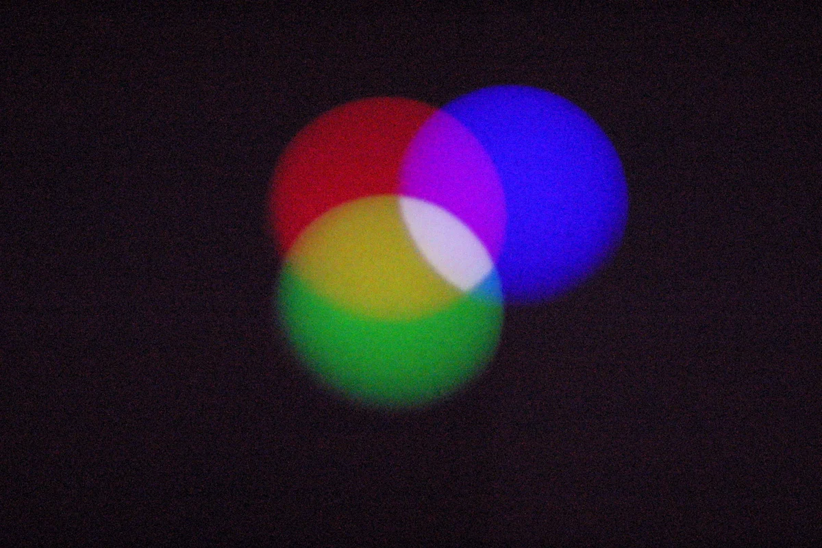 Color Balance Photogenic Drawings — Morgan Fisher — Exhibitions — Galerie Buchholz — Image 06