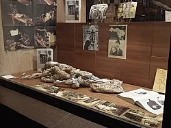 presented by Michael Krebber amp Sebastian Höckelmann — Jack Smith Antonius Höckelmann — Exhibitions — Galerie Buchholz — Image 20