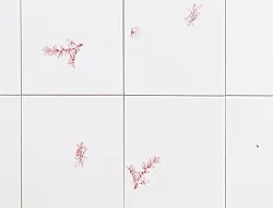 Lartiste et le décorateur — Danh Vo — Exhibitions — Galerie Buchholz — Image 29