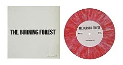 Films, Records and Paintings 1974-19828243 — Jack Goldstein — Exhibitions — Galerie Buchholz — Image 44