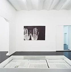 Sexuelle Zwischenstadien Einführung in die Theorie der Homosexualität — Henrik Olesen — Exhibitions — Galerie Buchholz — Image 19