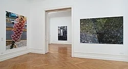 Wolfgang Tillmans Berlin 2010 — Wolfgang Tillmans — Exhibitions — Galerie Buchholz — Image 48