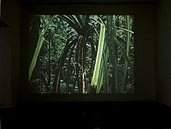 Crystal Palace — Mathias Poledna — Exhibitions — Galerie Buchholz — Image 20