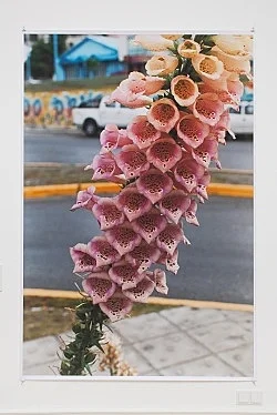 Wolfgang Tillmans Berlin 2010 — Wolfgang Tillmans — Exhibitions — Galerie Buchholz — Image 49