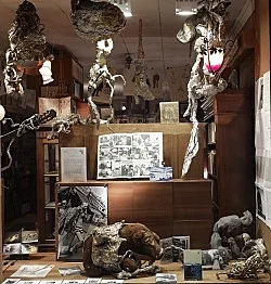 presented by Michael Krebber amp Sebastian Höckelmann — Jack Smith Antonius Höckelmann — Exhibitions — Galerie Buchholz — Image 24