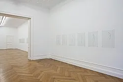 Diminution — Florian Pumhösl — Exhibitions — Galerie Buchholz — Image 17