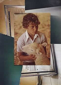 Fence Romance — Thomas Eggerer — Exhibitions — Galerie Buchholz — Image 33