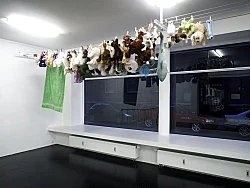 if if — Cosima von Bonin — Exhibitions — Galerie Buchholz — Image 29