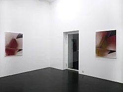 Puccio Onyx — Eileen Quinlan — Exhibitions — Galerie Buchholz — Image 20