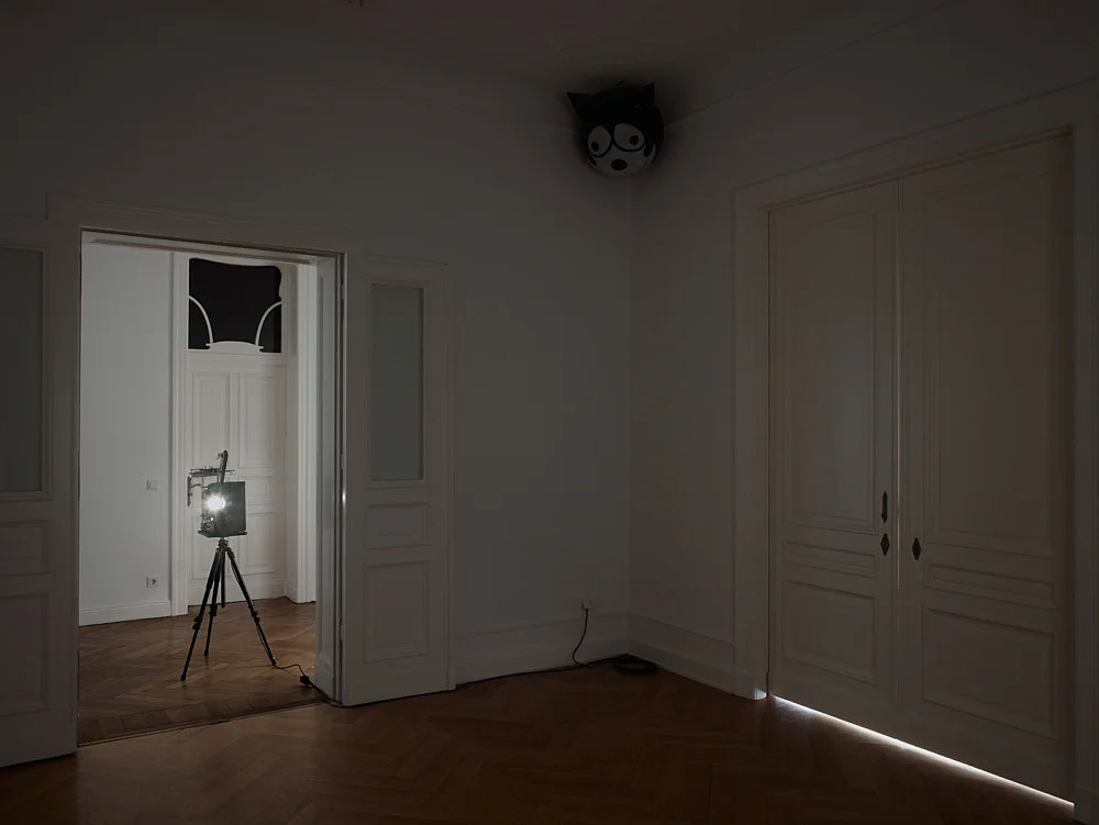 and possibly but not certainly Mark Leckey and Frances Stark — Mark Leckey Frances Stark — Exhibitions — Galerie Buchholz — Image 00