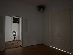 and possibly but not certainly Mark Leckey and Frances Stark — Mark Leckey Frances Stark — Exhibitions — Galerie Buchholz — Image 34