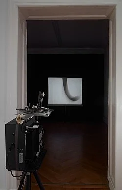 and possibly but not certainly Mark Leckey and Frances Stark — Mark Leckey Frances Stark — Exhibitions — Galerie Buchholz — Image 32