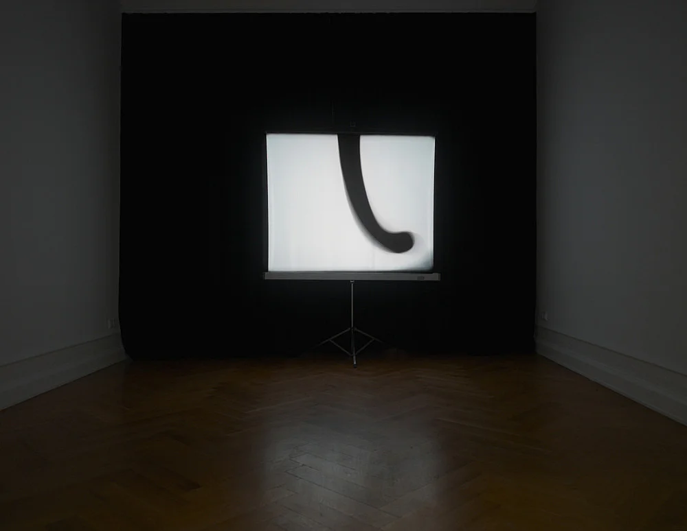 and possibly but not certainly Mark Leckey and Frances Stark — Mark Leckey Frances Stark — Exhibitions — Galerie Buchholz — Image 00