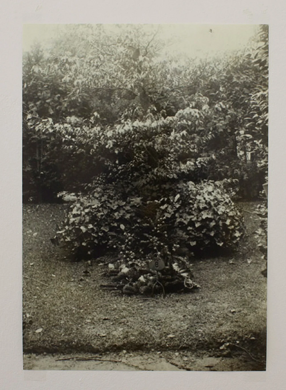 zusammengestellt von Henrik Olesen amp Daniel Buchholz — Bücher, Manuskripte und Briefe von Herman Bang 1857-1912 — Exhibitions — Galerie Buchholz — Image 00