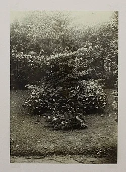 zusammengestellt von Henrik Olesen amp Daniel Buchholz — Bücher, Manuskripte und Briefe von Herman Bang 1857-1912 — Exhibitions — Galerie Buchholz — Image 53