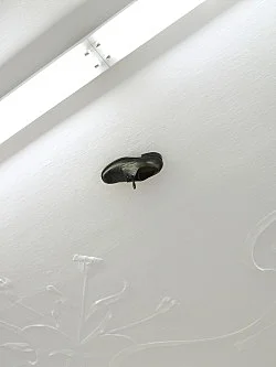 How do I make myself a body — Henrik Olesen — Exhibitions — Galerie Buchholz — Image 35